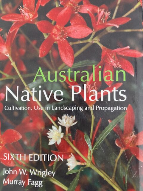 Australian Native Plants Australian Native Plants