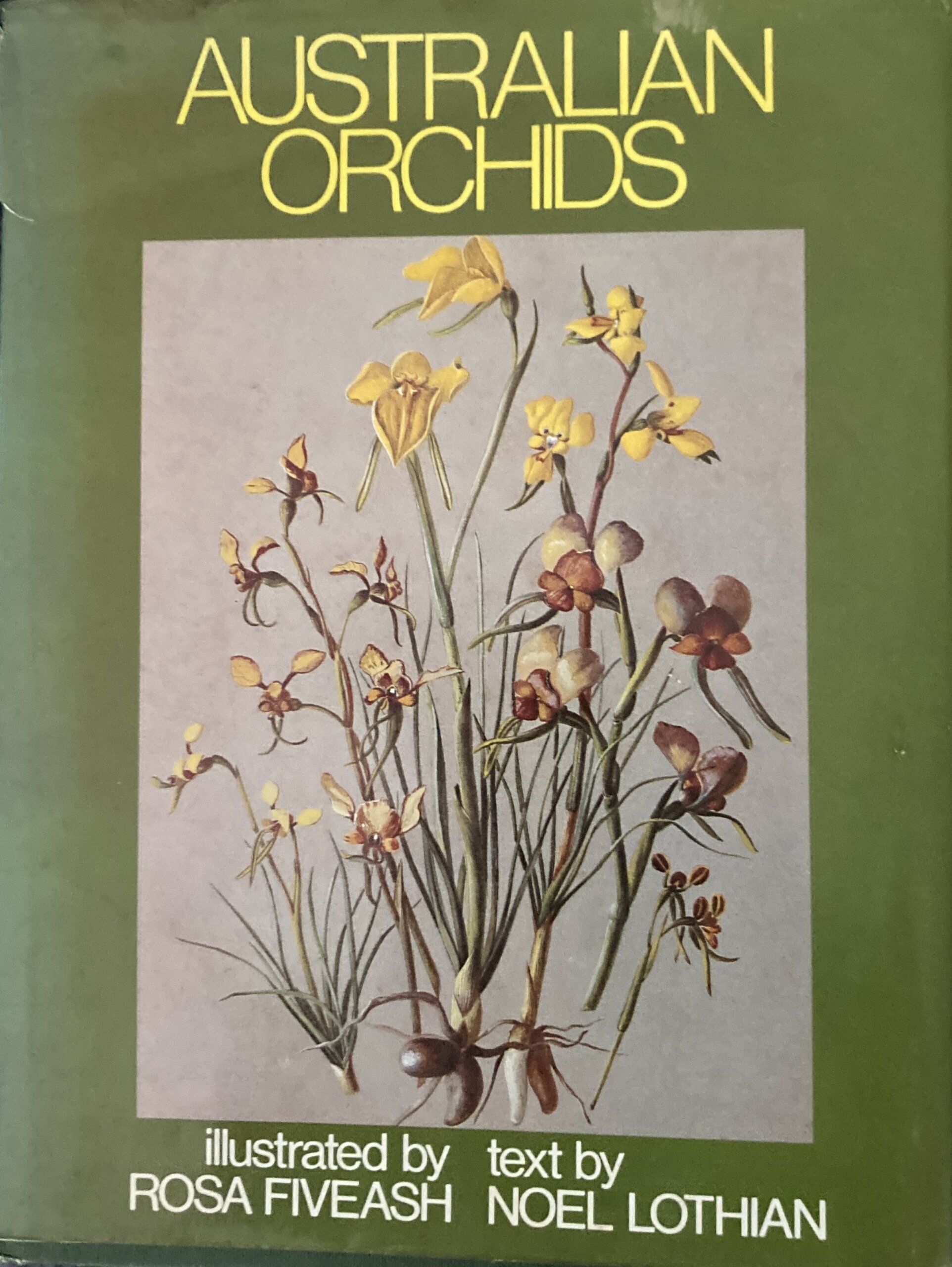 Australian Orchids