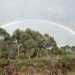 Chasing rainbows in the rain: A history of Mt. Compass, Nangkita, Tooperang and Yundi