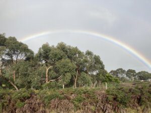 Chasing rainbows in the rain: A history of Mt. Compass, Nangkita, Tooperang and Yundi